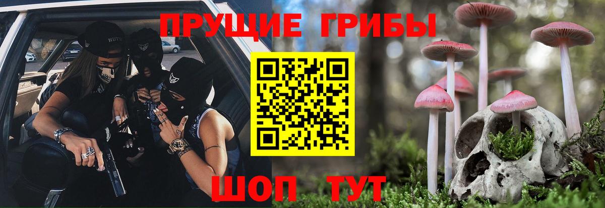 Галлюциногенные грибы Psilocybe Мытищи