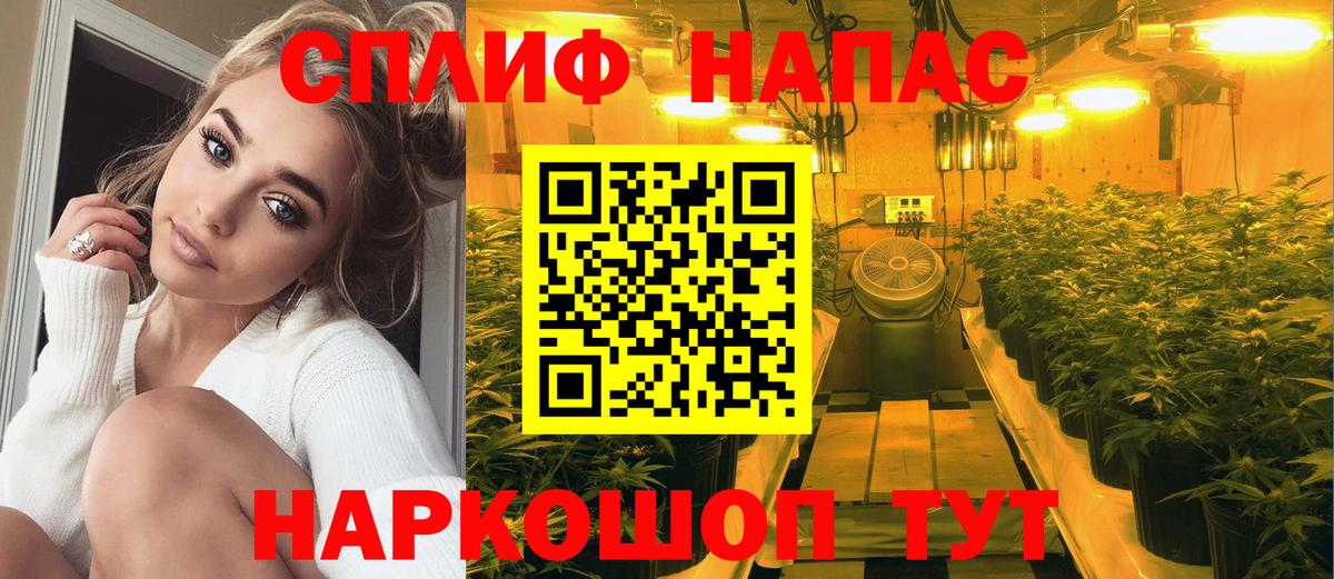 Мытищи  Бошки марихуана Amnesia  Вход с VPN  Бошки марихуана планчик 